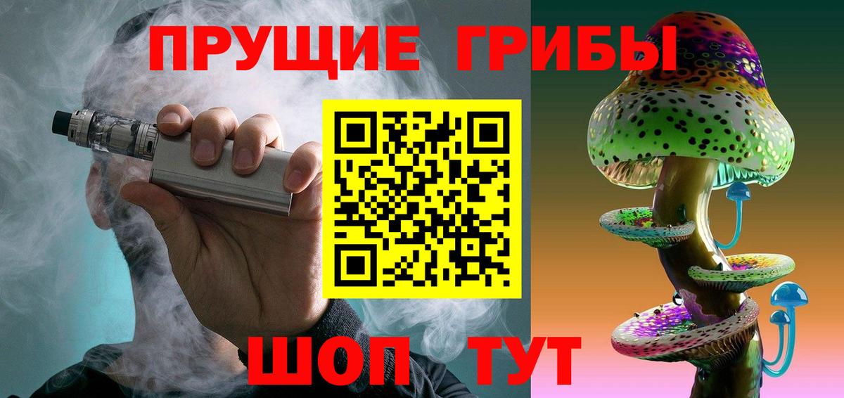 Псилоцибиновые грибы Psilocybe Тулун