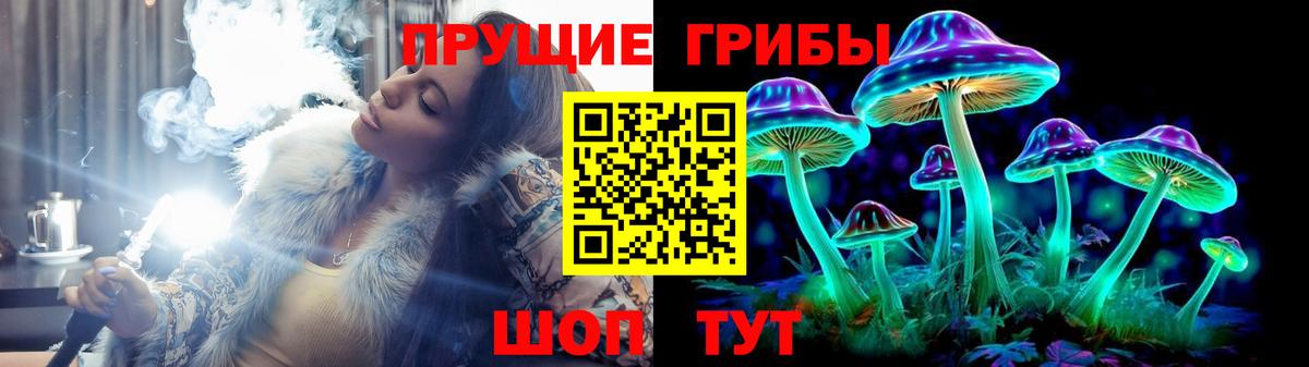 Тулун  Псилоцибиновые грибы GOLDEN TEACHER  Вход с VPN 